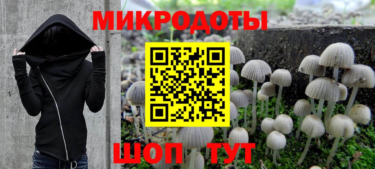 Галлюциногенные грибы GOLDEN TEACHER Тавда