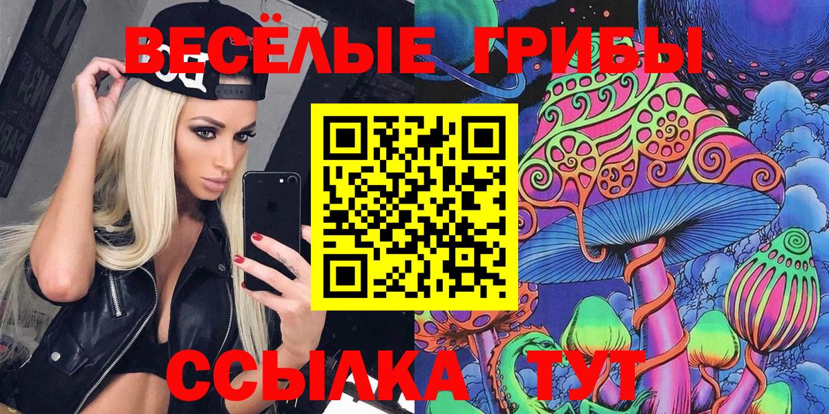 Псилоцибиновые грибы мицелий  где найти наркотики  Галлюциногенные грибы Cubensis  Тавда  Вход с VPN 